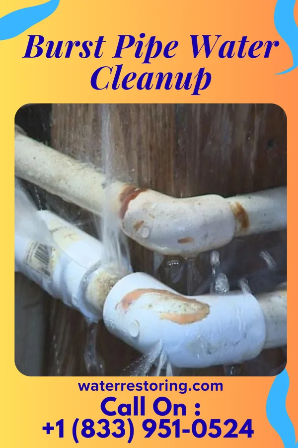 Burst Pipe Water Cleanup in Red Corral, CA