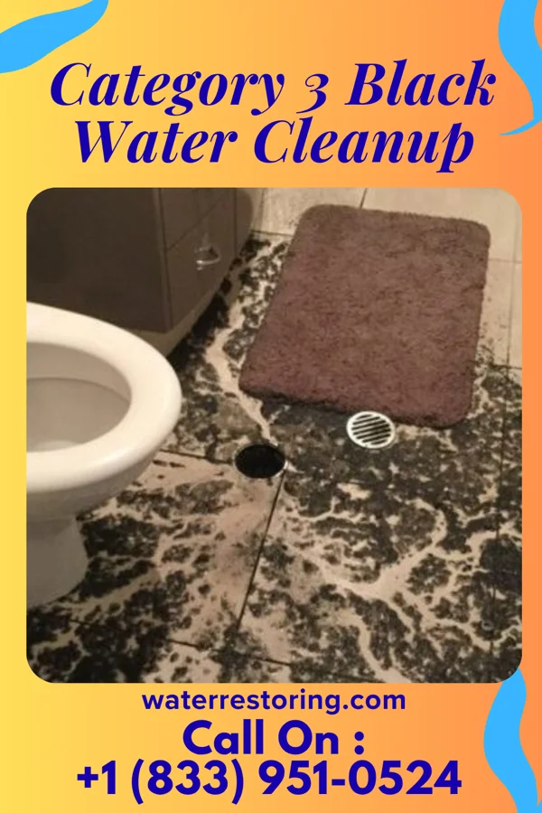 Category 3 Black Water Cleanup in Red Corral, CA