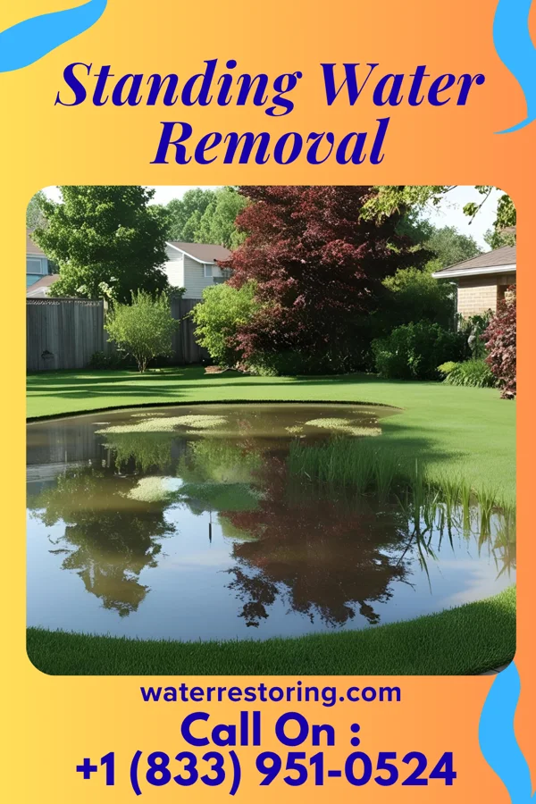 Standing Water Removal in Red Corral, CA